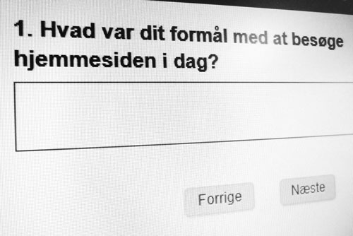 Spørgeskemaundersøgelse på website.